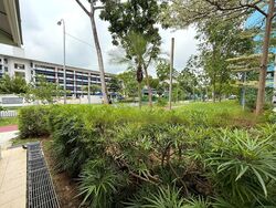 kampong-ubi-view photo thumbnail #4